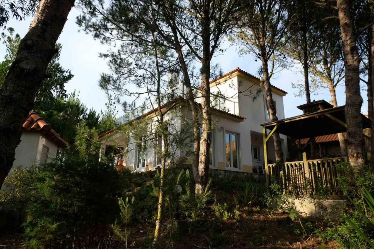Wavin' Trees Holiday home
