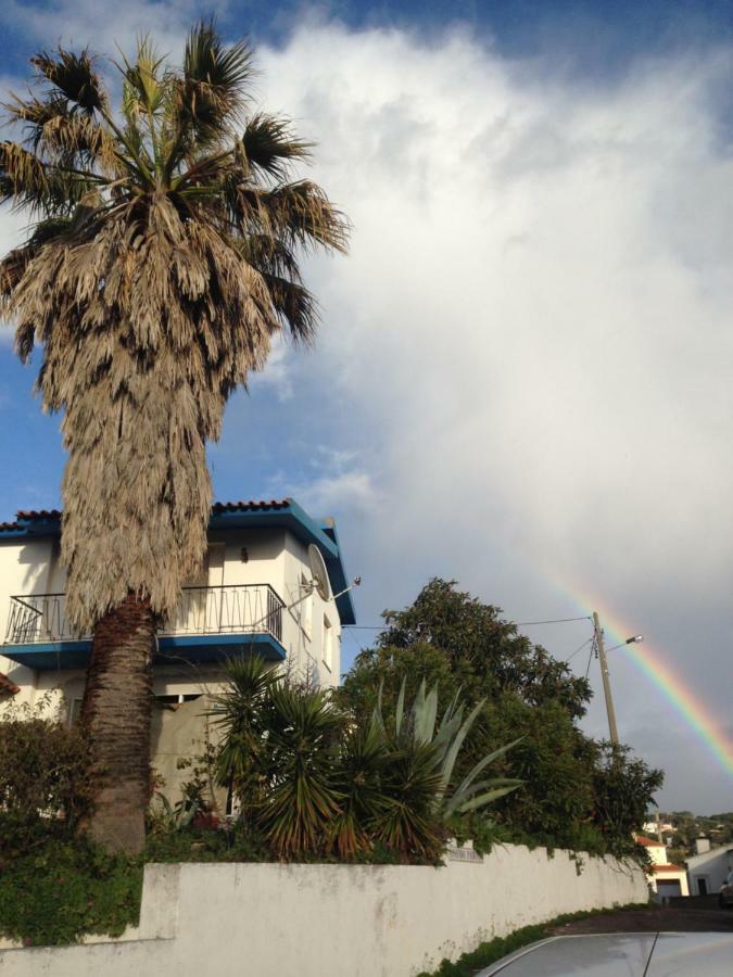 Wavin' Trees Ericeira