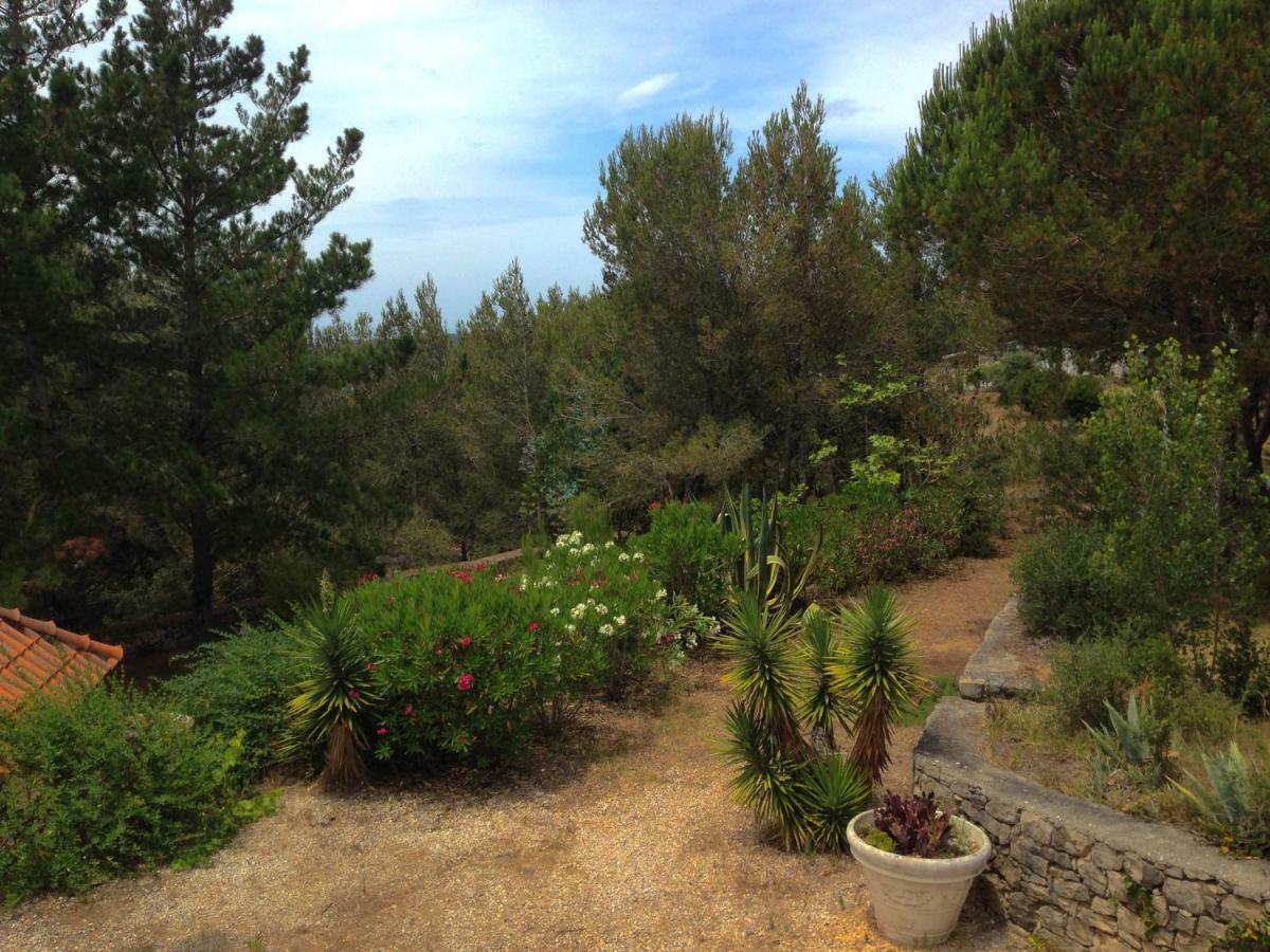 Wavin' Trees Ericeira