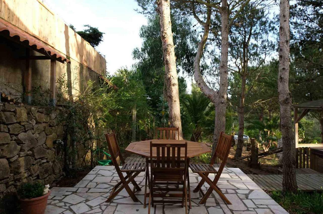 Wavin' Trees Holiday home Ericeira