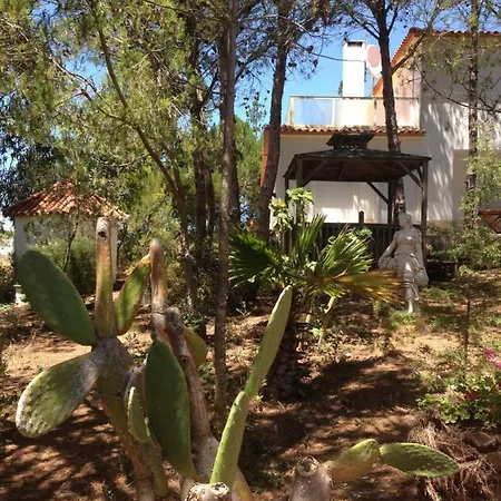 Wavin' Trees Ericeira Vila Exterior foto